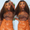 Intime Brown Highlight Curly Human Hair Transparent 5x5 Closure Wig (5)