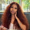 Intime Reddish Brown Wet and Wavy Water Wave 13x4 Lace Front Human Hair Wig Pre Plucked (1)